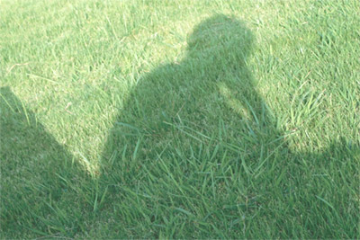 統合失調症のイメージ写真